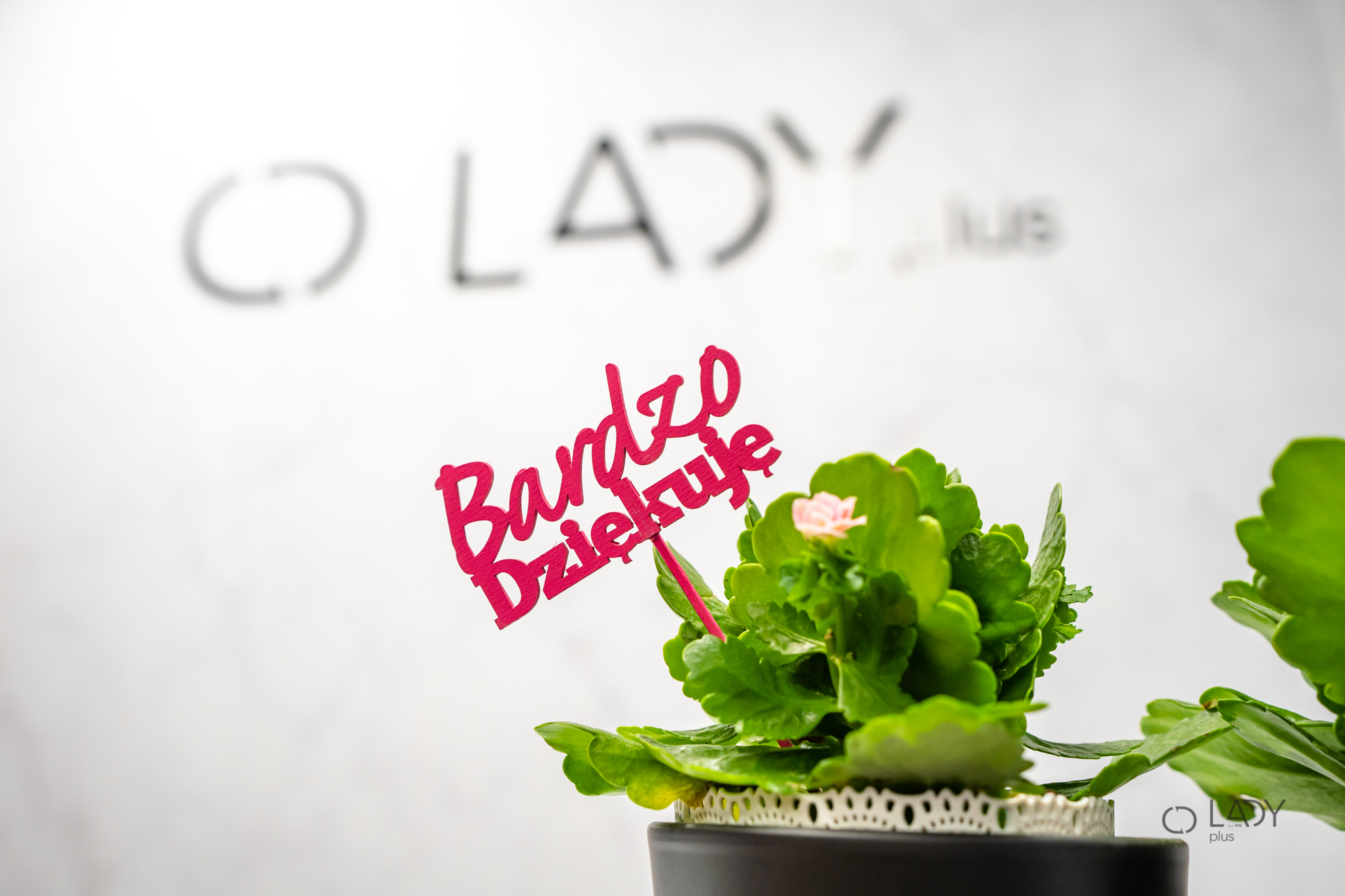 Boutiques XL ropa de mujer en tallas grandes ropa de maternidad Rzeszów Polonia